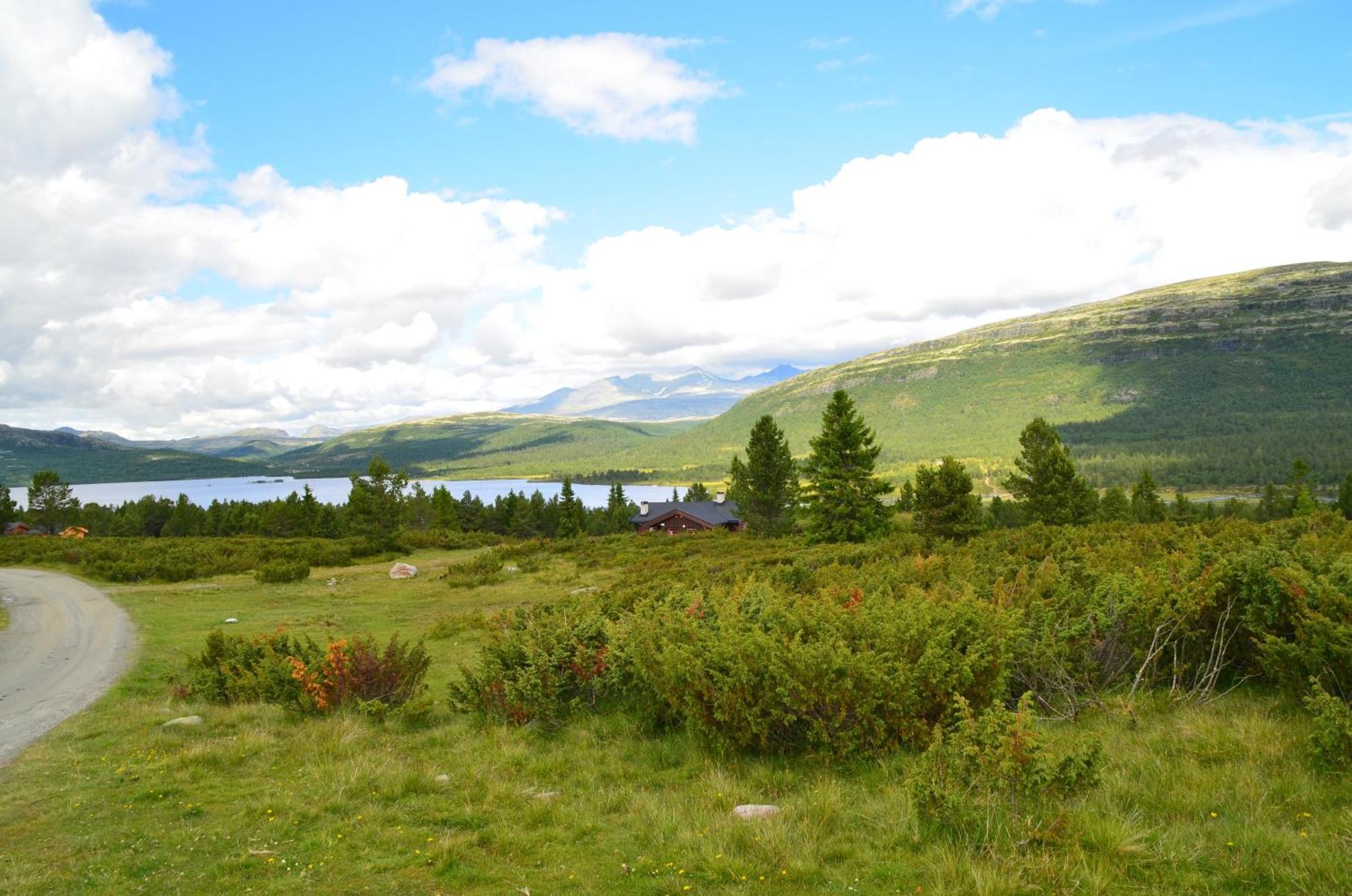 Maurtua - In Lovely Surroundings Mysusaeter